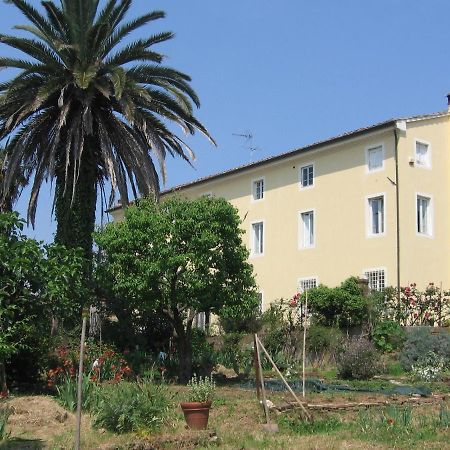 Casa Marce A "Sonno" Bed & Breakfast Porcari Bagian luar foto