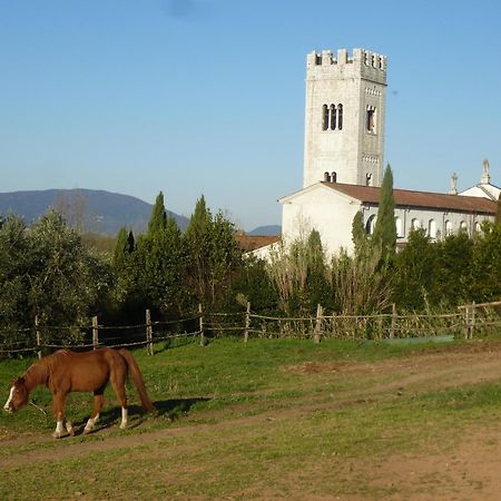 Casa Marce A "Sonno" Bed & Breakfast Porcari Bagian luar foto