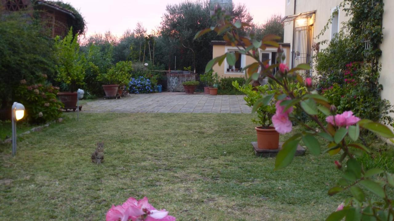 Casa Marce A "Sonno" Bed & Breakfast Porcari Bagian luar foto