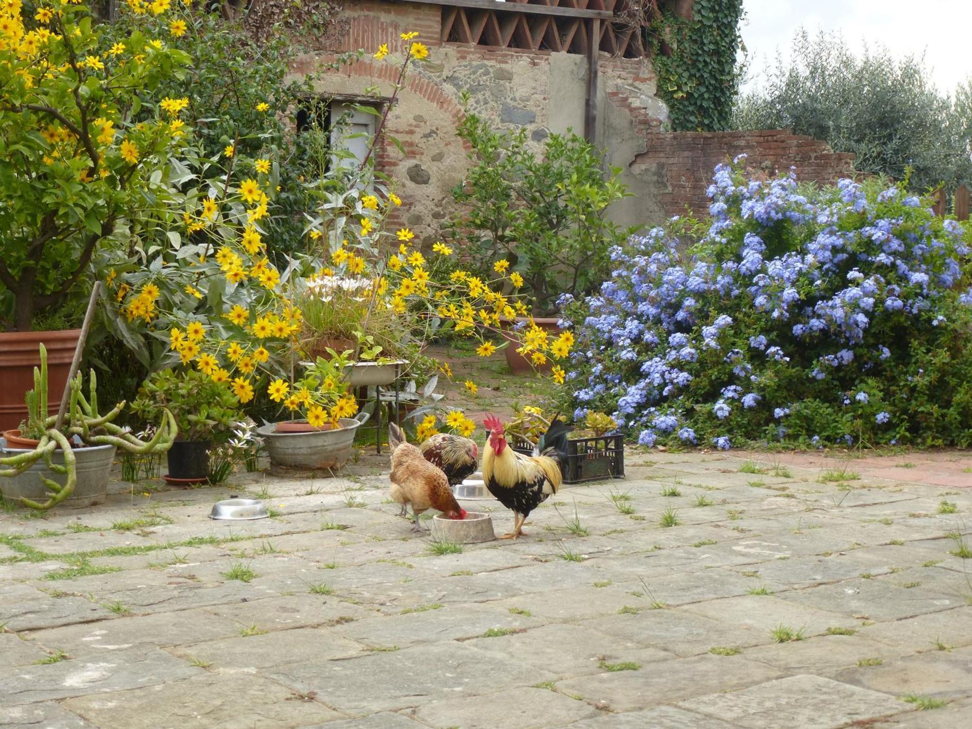 Casa Marce A "Sonno" Bed & Breakfast Porcari Bagian luar foto